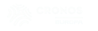 Your IT CV Generator Tool - Cronos Europa